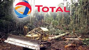 Trashing Rainforest For Biofuel A Total Disaster Rainforest Rescue