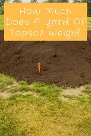 Plants grow best in deep topsoil, which is 36 inches. How Much Topsoil Do I Need To Grow Grass Arxiusarquitectura