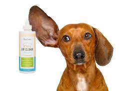 Top 5 Beste Oorreiniger Hond Kat Huisdierenarts Nl