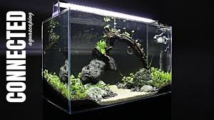Aquarium atau aquascape yang sudah ditata rapi memerlukan perawatan berkala agar penampilannya tetap prima dan menarik. Aquascaping Game Of River Stone Simplicity By Vladimir Stojanovic