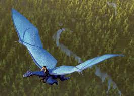 Dragon Riders | Inheriwiki | Fandom