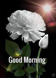 Have A Good Day Meme For Her Free Images Wallpaper