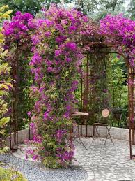 100 Bilder Zur Gartengestaltung Die Kunst Die Natur Zu Modellieren Garten Gartengestaltung Garten Ideen