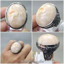 Dijamin asli dan bukan sintetis (palsu). Jual Batu Akik Mani Gajah Jumbo Asli Kode 2297 Terbaru Juni 2021 Blibli