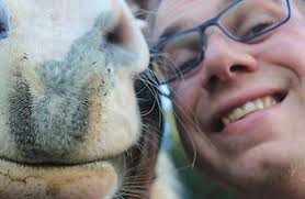 Boek Natural Horsemanship