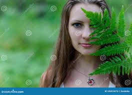 59,385 Beautiful Fern Plant Stock Photos