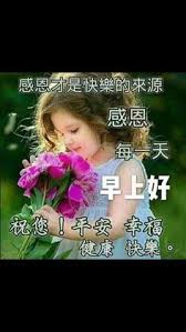 pin by luan lee on 小可爱早安哦 good morning greetings lei necklace morning greeting