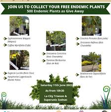 Image result for Stadmannia oppositifolia