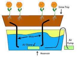 1 The Wick System Figure Taken From Download Scientific Diagram
