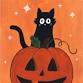 ~FAMILY DAY~ Jack-o-Lantern Kitty event image