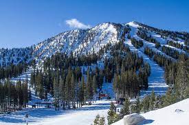 Improvements And Innovations At Mt Rose Ski Tahoe Freeskier