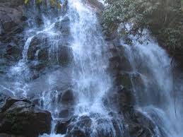 This waterfall is small compared to other waterfalls of western ghats. Sirimane Waterfalls Itslife In