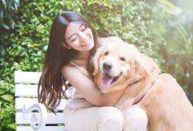 How does pet insurance work? Best Cheap Pet Insurance 2021 Valuechampion Singapore