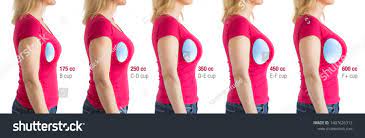 How Choose Breast Implants Different Types Stock Photo 1407626312 |  Shutterstock