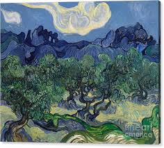 The Olive Trees 1889 Canvas Print Canvas Art By Vincent Van Gogh Van Gogh Art Van Gogh Olive Trees Vincent Van Gogh Paintings