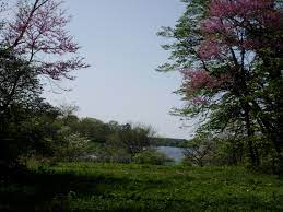 Lincoln Memorial Gardens Springfield Il Love It Memorial Garden Favorite Places Lincoln Memorial