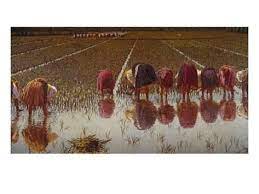 For 80 Cents Giclee Print Gaetano Previati Art Com In 2021 Art Scenic Art Giclee Print