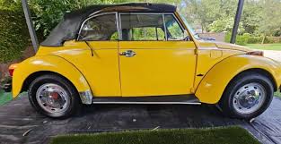 Image result for Rallye Yellow 1975 Volkswagen