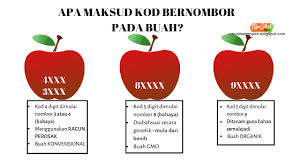 Nombor bulat menjadi lebih mudah difahami sekiranya digambarkan dalam bentuk garisan nombor. Ini Maksud Sebenar Nombor Yang Ada Di Pelekat Buah Buahan