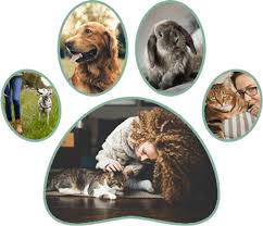 She stopped by a few more times and watched as the enclosure full of kittens and a mama dwindled. What Blood Tests Can Tell You About Your Cat S Health