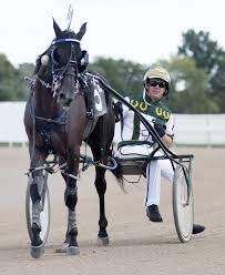 Pin By Arjkl Sixllll On Harness Racing Riding Helmets Harness Racing Riding