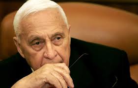 Mort de Sharon après huit ans de coma