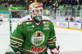 Professional hockey player and prospect for the colorado avalanche. Bili Tygri Liberec Roman Will O Sezone V Rogle Bylo To Vyborne Skoda Ze Jsme To Nemohli Dohrat