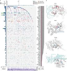 Contact them to find out more of range of financial services that they provide. Molecular Subtypes Of Diffuse Large B Cell Lymphoma Are Associated With Distinct Pathogenic Mechanisms And Outcomes Nature Medicine