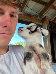 Unique photo shoots with zebra and other animals?