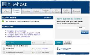 31 Domain Name Questions Regarding Bluehost Hostmonster