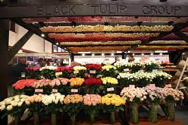 Colorful summer flowers such as gladiolas and gerber daisies are less expensive this time of year. Uzivatel Black Tulip Group Na Twitteru Greetings We Contributed At Iftex 2019 With The Fontana Flowers Company Wonderful Experience Thanks To International Flower Trade Expo At Kenya Corporate Website Https T Co Lgo3s0lvqe Iftex2019