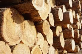 Cât costă gazul, de la 1 ianuarie, în funcţie de regiunea … în ceea ce priveşte metrul cub, deşi nu este tarifat distinct în factură, calculele noastre arată că acesta costă, din ianuarie, 1,47 lei, la gdf suez, şi 1,63 lei, la e.on. Pret Lemn De Foc 2020 Anuntul Romsilva Jurnalul De Afaceri