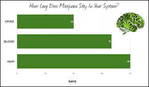 The question of how long weed withdrawal will last depends on your body and how it can function without the excess cannabinoids, which would the hair test is far less sophisticated and accurate. How Long Does Weed Thc Stay In Your System Blood Urine Hair