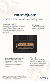 Pin On Oil Knowledge