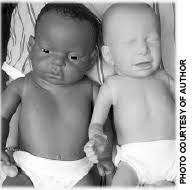 Baby Think It Over Education Next