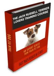 Chiropractic experts believe the hunching posture adopted by phone or tablet users can cause breathing problems, leading to cardiovascular issues later in life and a higher risk of. 120 How To Train Your Jack Russell Ideas Your Dog Jack Russell How To Train Your