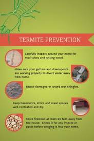 Termites are sneaky little pests that can enter. 7 Termites Ideas Termites Termite Control Pests