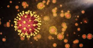 Virologie christian drosten informiert, wie die ausbreitung der mutante verhindert werden kann. New Covid Mutation Discovered In Bavaria