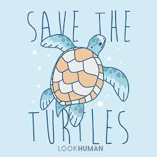 Save The Turtles Cute Turtle Drawings Turtle Drawing Turtle Wallpaper