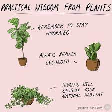 19 Tiny Self Care Tips To Try Out Morning Pages Life Changing Habits Plants