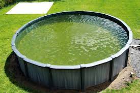 Die für die schockbehandlung erforderliche chlormenge hängt von der wassermenge im pool und der schwere des algenwachstums ab. Hausmittel Gegen Algen Im Pool Diese Wirken