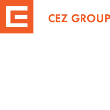 So, you've started a business? Logo Cez Group Infographic