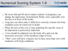 Using the table above, the body weight change needed to move from one body condition score to another can be calculated. B88 Body Condition Scoring Of Cattle Lesson Outline Introduction Numerical Scoring System 1 9 Terms Guidelines For Body Condition Scores Nutritional Ppt Download