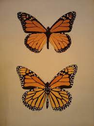 Monarch Butterflies Acrylic On Canvas 16x20 Butterfly Painting Butterfly Watercolor Monarch Butterfly