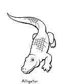 Search through 623,989 free printable colorings at. Alligators And Crocodiles Coloring Pages