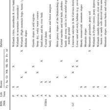 Image result for Sporobolus bechuanicus