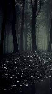 We did not find results for: Dark Forest Dark Phone Wallpapers Forest Wallpaper Dark Forest