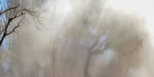 The zonda is a dry wind (often carrying dust) which comes from the polar maritime air, warmed by descent from the crest, which is approximately 6,000 m (20,000 ft) above sea level. Alerta Meteorologico Por Viento Zonda En La Region Del Noa Ruralnet