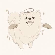 Rip Gabe The Dog Gif Dogheaven Dogangel Discover Share Gifs Cute Dog Drawing Cute Drawings Dog Art