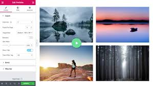 How to use elementor in wordpress. Wordpress Portfolio Gallery Widget Elementor Com